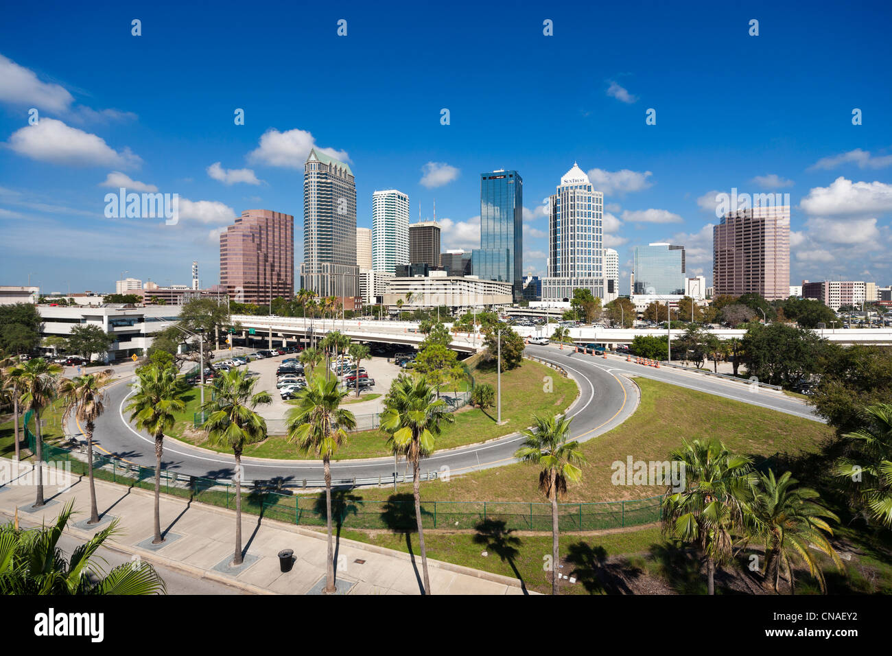 Tampa Florida Downtown cityscape skyline con palme Foto Stock