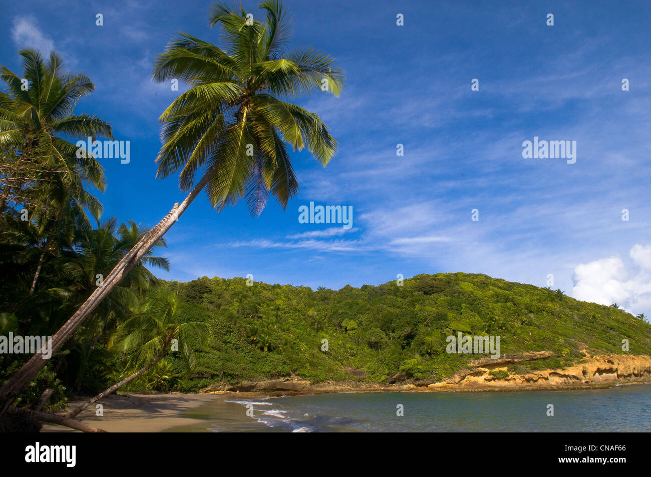 Dominica, nel nord-est dell'isola, la famosa spiaggia di Batibu Bay, una delle più belle e più selvaggia spiaggia di la Foto Stock