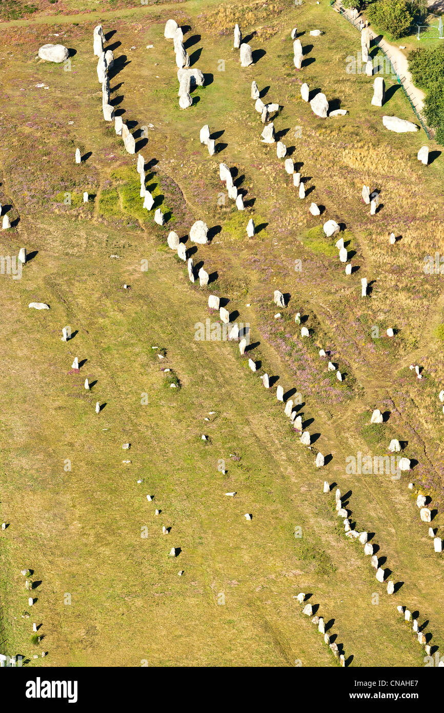 Francia, Morbihan, Carnac, Kermario allineamenti megalitici (vista aerea) Foto Stock