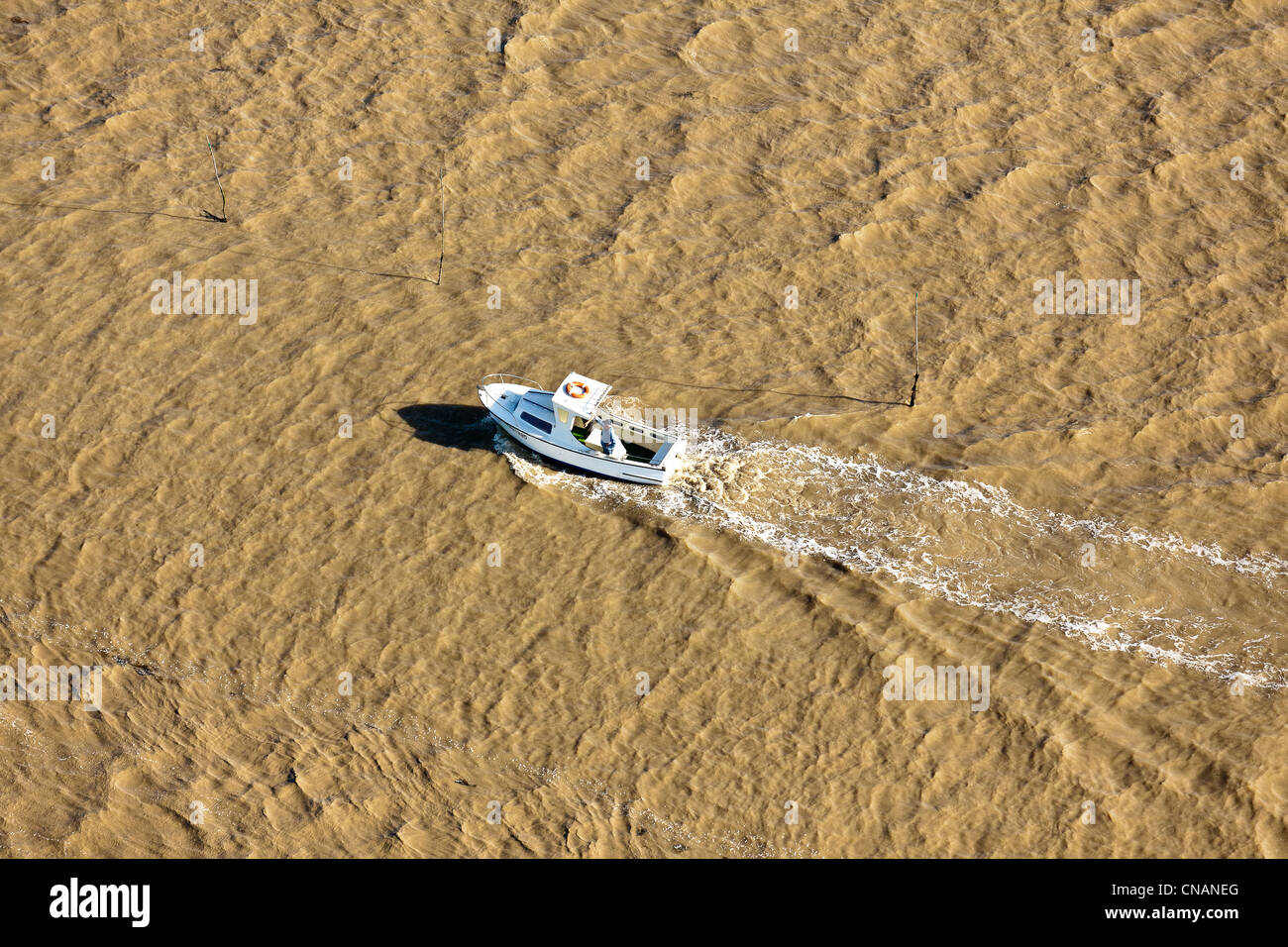 Francia, Loire-Atlantique, Les Moutiers En Retz, barca sull estuario Falleron (fotografia aerea) Foto Stock