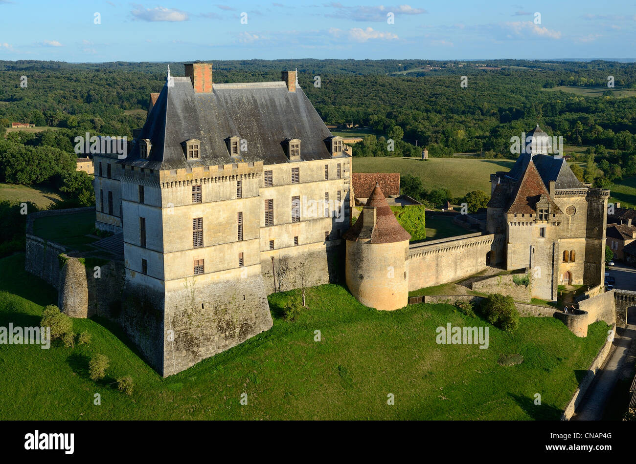 Francia, Dordogne, Perigord Pourpre, Biron Castle (vista aerea) Foto Stock