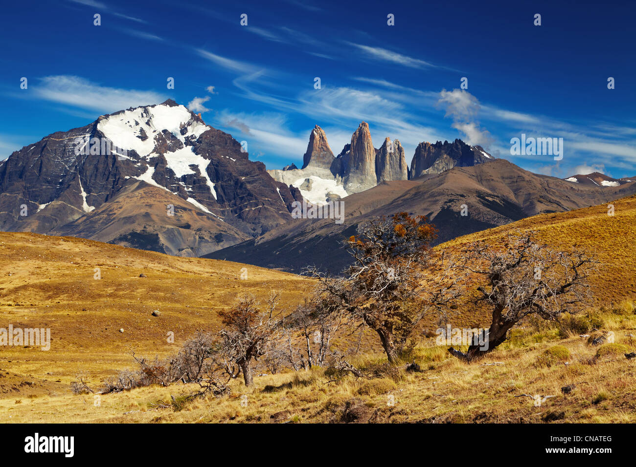 Parco Nazionale di Torres del Paine, Patagonia, Cile Foto Stock