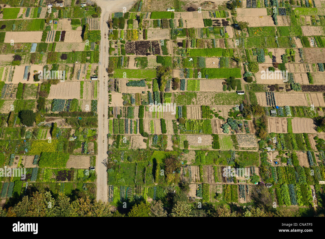 Francia, Manche, Saint Lo, jardins ouvriers (vue aerienne) Foto Stock