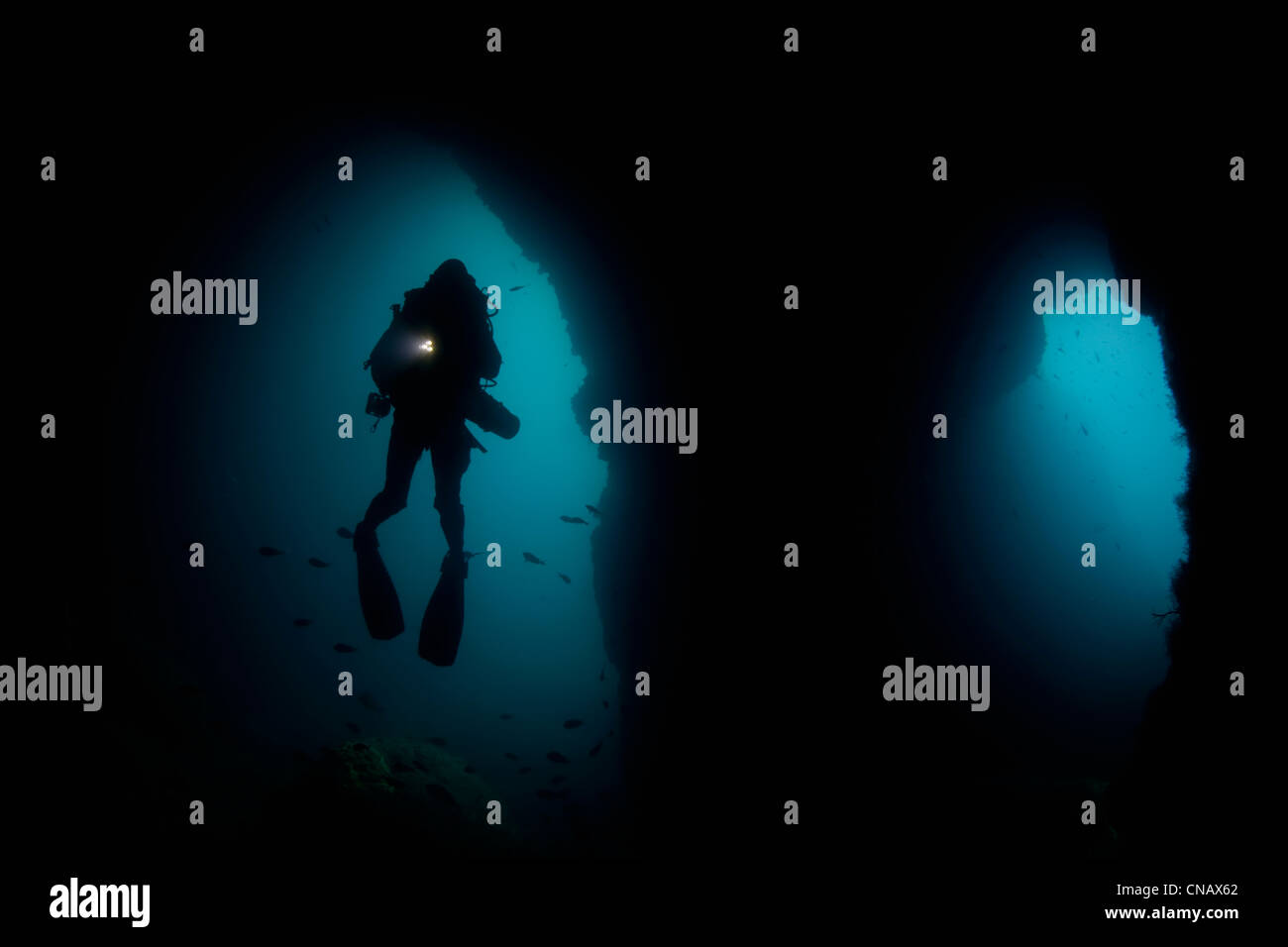 Nuoto subacqueo nella grotta sottomarina Foto Stock