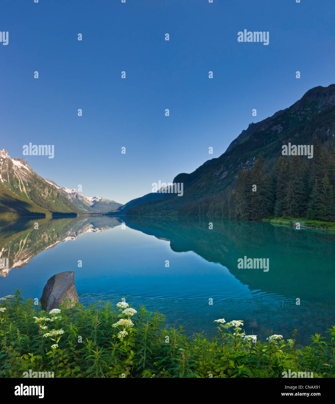 Vista panoramica del lago Chilkoot, Haines, a sud-est di Alaska, estate Foto Stock