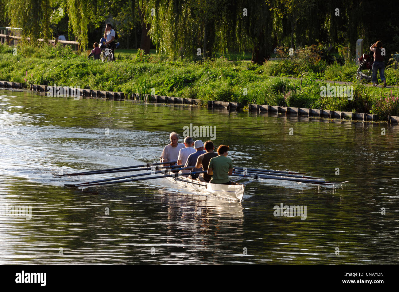 Francia, Somme, Amiens, kayak nel mezzo dell'hortillonnages, i giardini galleggianti intervallati con canali Foto Stock