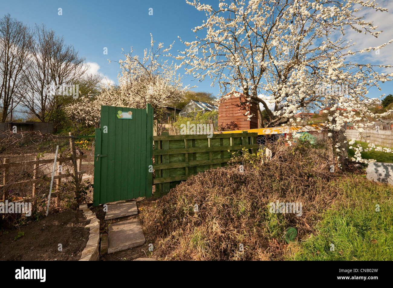 Riparto Urbano garden a Norwich, Norfolk, Inghilterra Foto Stock
