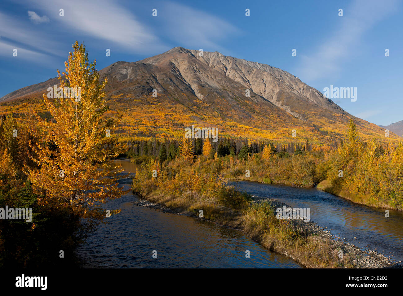 Scenic autunno vista lungo la Alaska Highway vicino al milione di dollaro cade campeggio, Takhani River, Yukon Territory, Canada Foto Stock