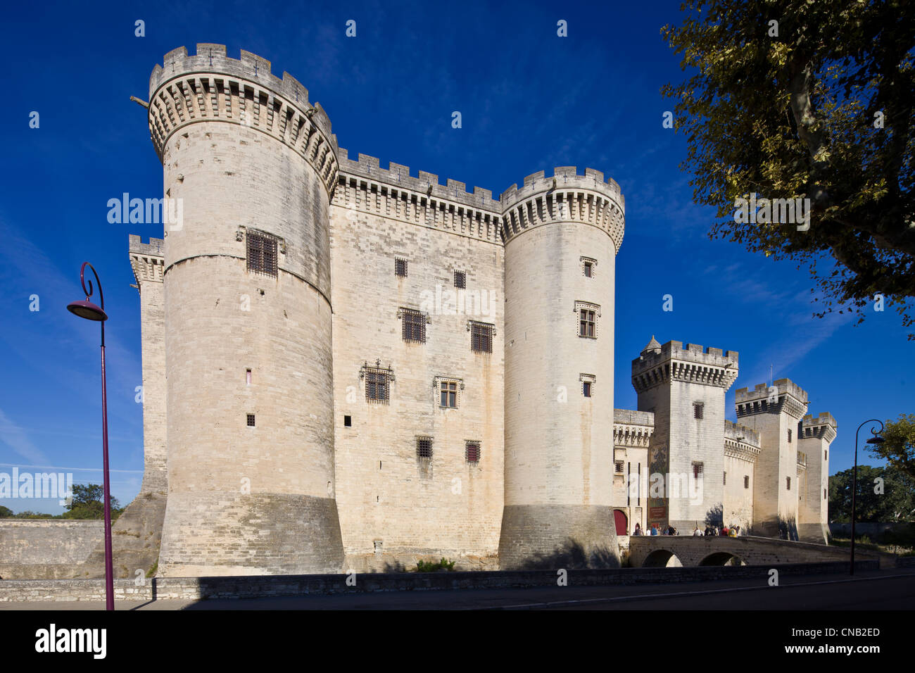 Francia, Bouches du Rhone, Alpilles, Tarascon, Chateau du Roi René (Re di Rene) castello del XIV-XV secolo Foto Stock