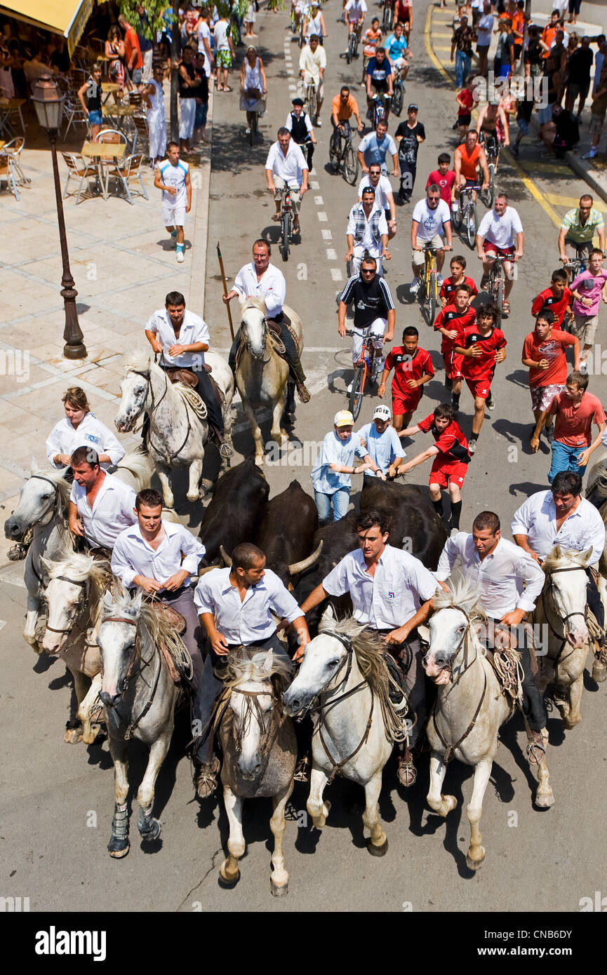 Francia, Gard, Aigues Vives, Abrivado (rilascio di tori) consiste per il cowboy per scortare i tori da pascoli a Foto Stock