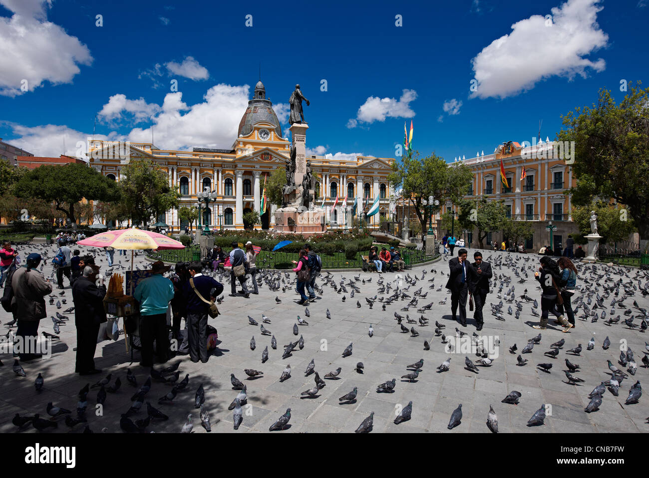 Piccioni sulla Plaza Murillo, dietro al Congresso Nazionale di edificio o Palacio Legislativo, Congreso de la República, Plaza Murillo Foto Stock
