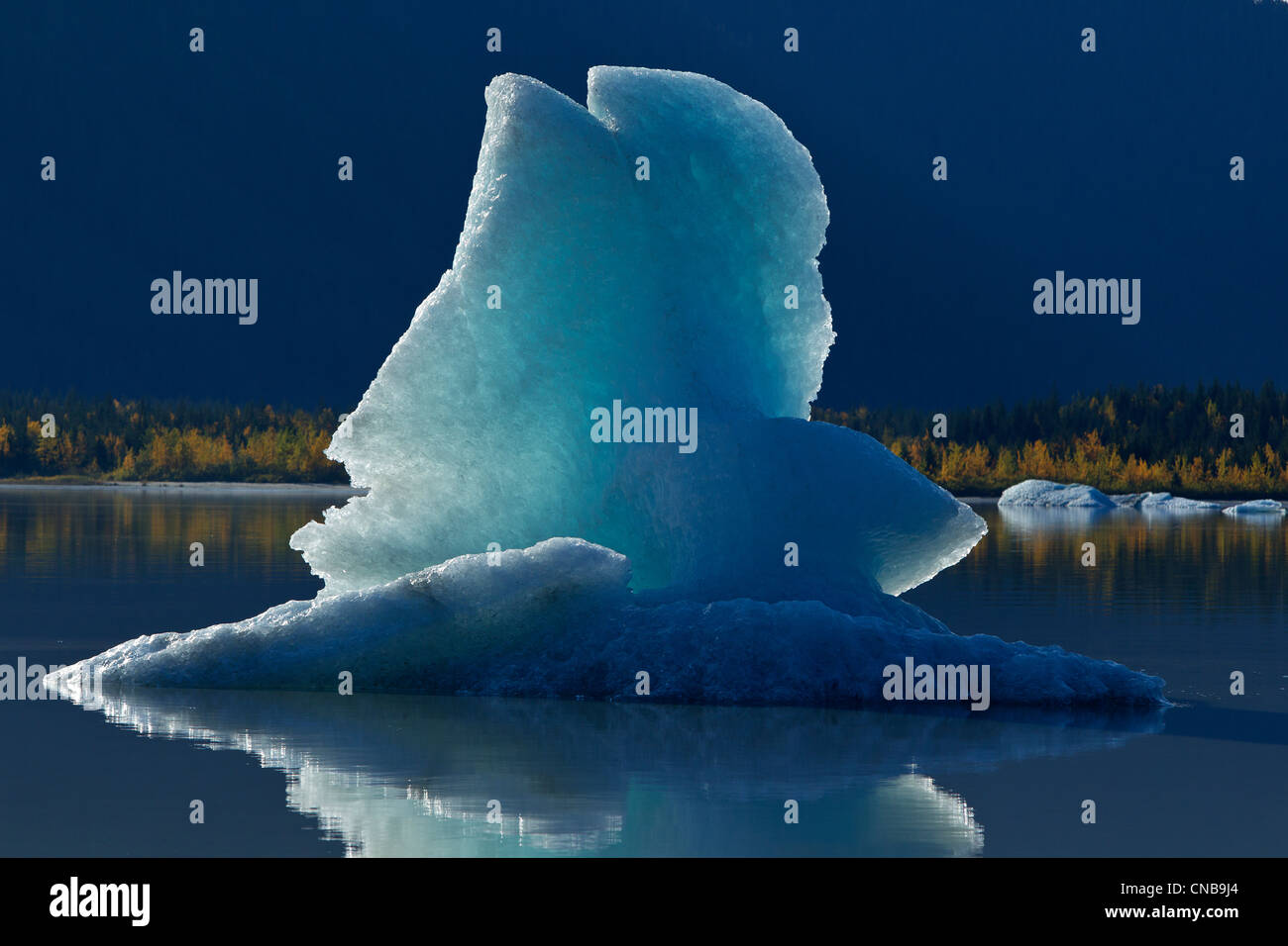 Iceberg galleggiante sulla superficie calma di Mendenhall Lago, Mendenhall Glacier, Juneau, a sud-est di Alaska, Autunno Foto Stock