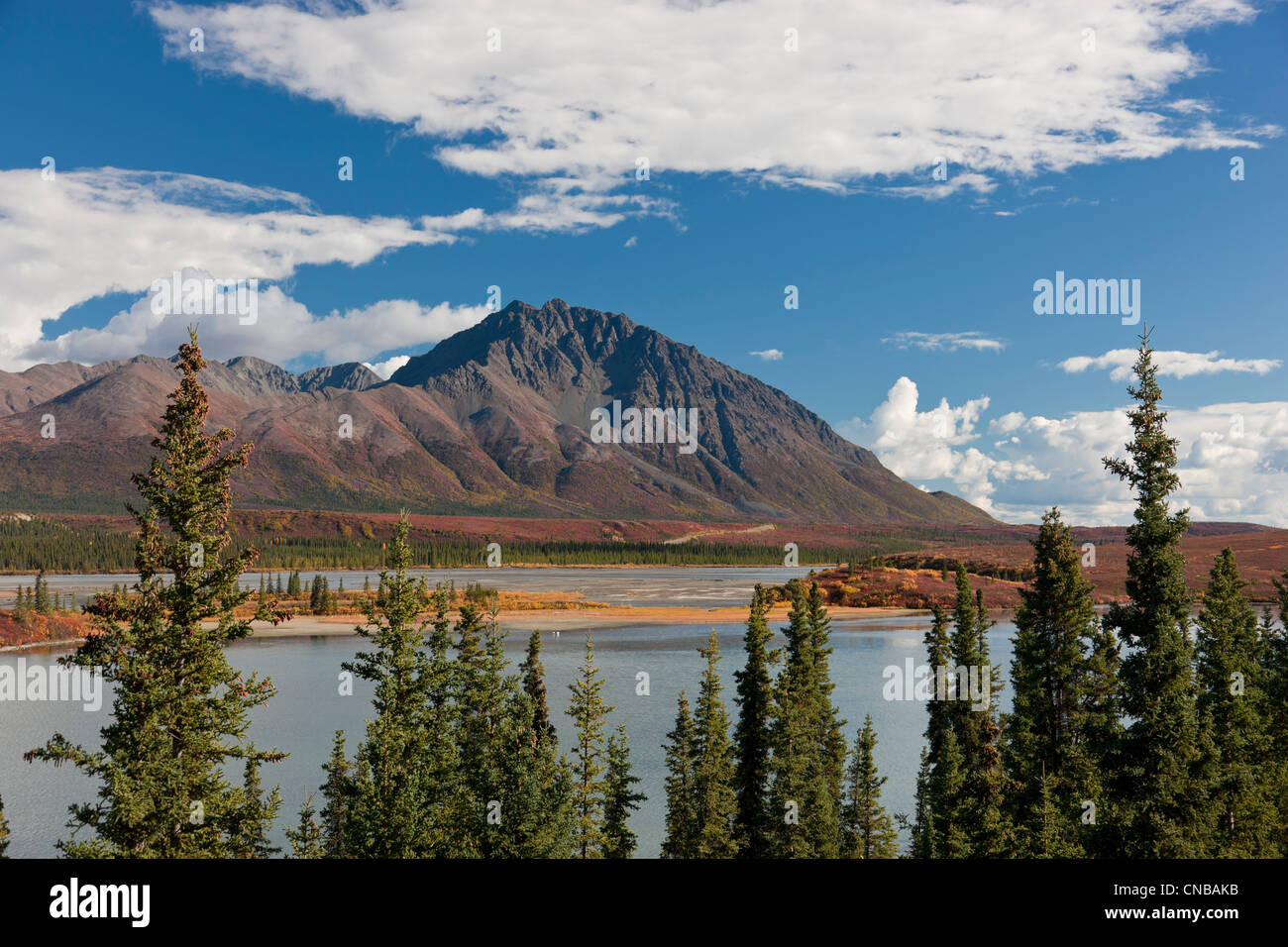 Vista panoramica del fiume Susitna vicino al Denali Highway, Interior Alaska, Autunno Foto Stock