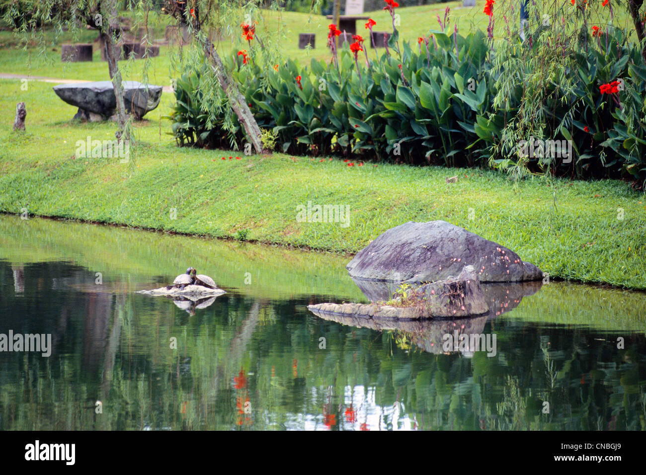 Singapore, Jurong giardini, kissing tartarughe su una roccia nel parco Jurong Gardens Foto Stock