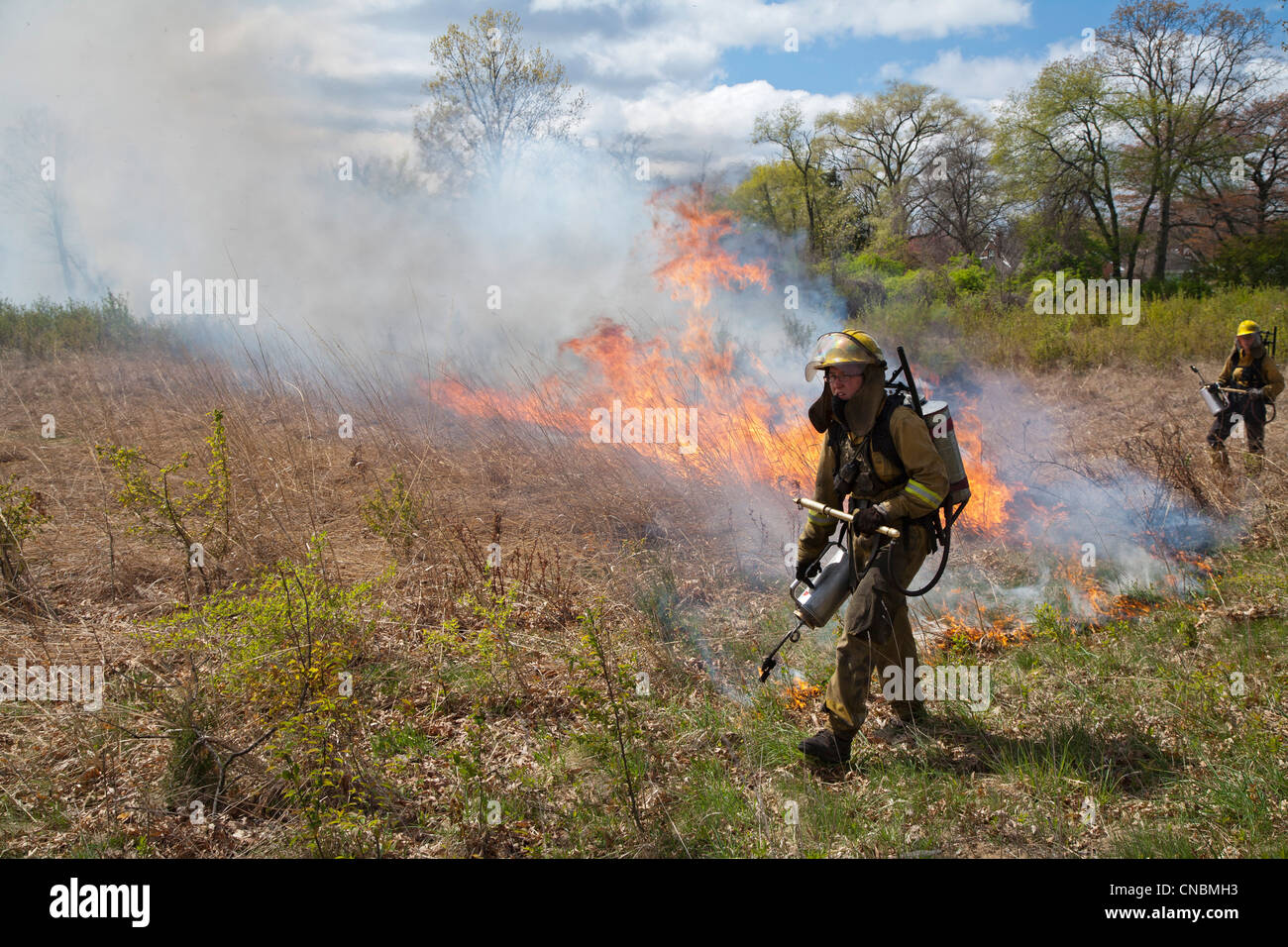 I lavoratori di indossare abbigliamento protettivo bruciare parti di River Rouge Park a Detroit con lo scopo di eliminare la specie invasive. Foto Stock