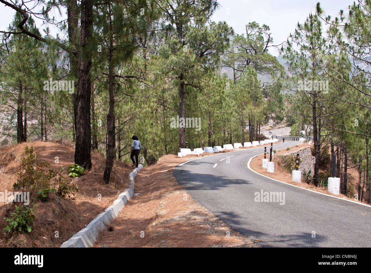 Ragazza su una montagna highway road nel nord dello stato indiano dell'Uttaranchal, sul modo di Lansdowne. I marcatori di bianco sul lato. Foto Stock