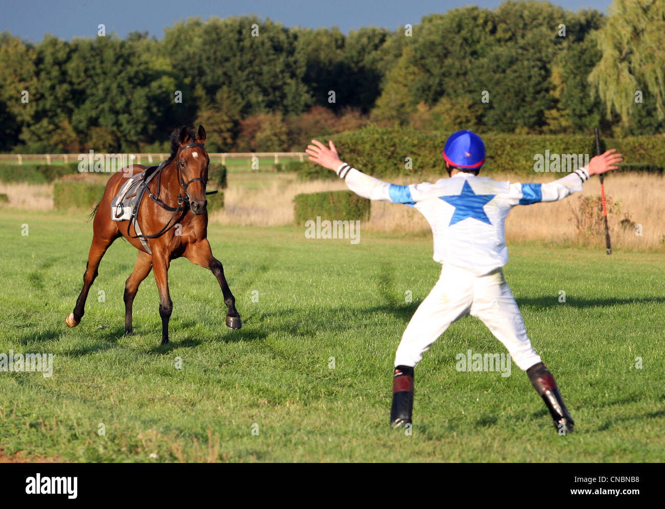 Jockey cercando di fermare il suo cavallo riderless, Hannover, Germania Foto Stock