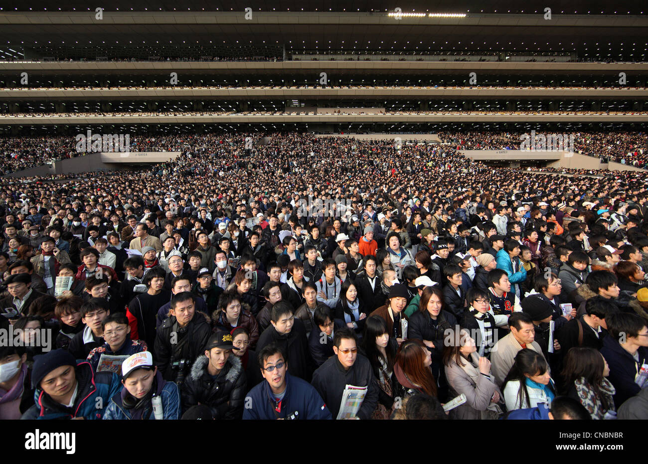 Gli spettatori presso il Fuchu cavallo di razza in pista durante la Japan Cup, Tokyo, Giappone Foto Stock