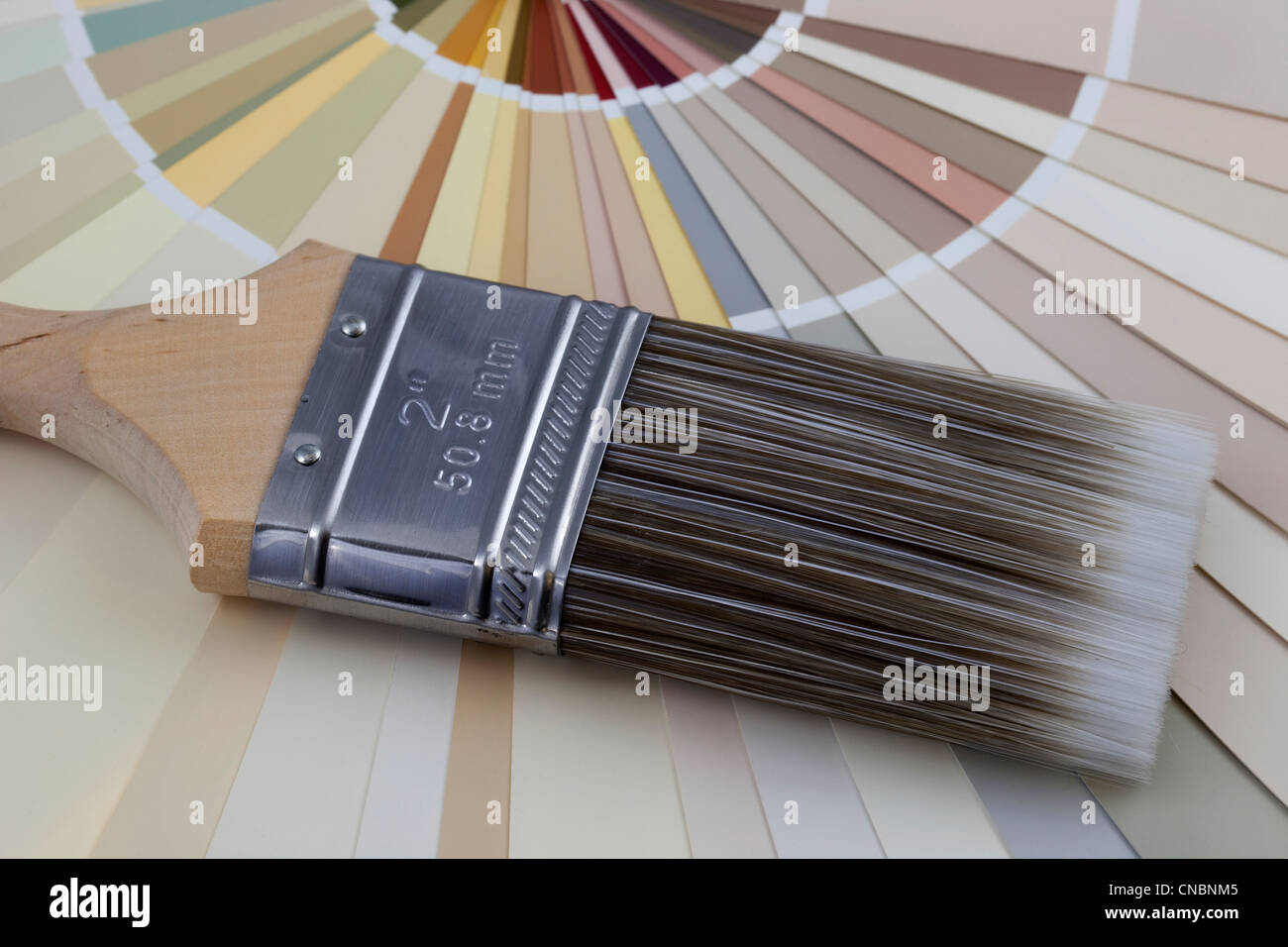 Pennello in nylon contro la vernice radianti i campioni di colore pastello (tonalità di terra) Foto Stock