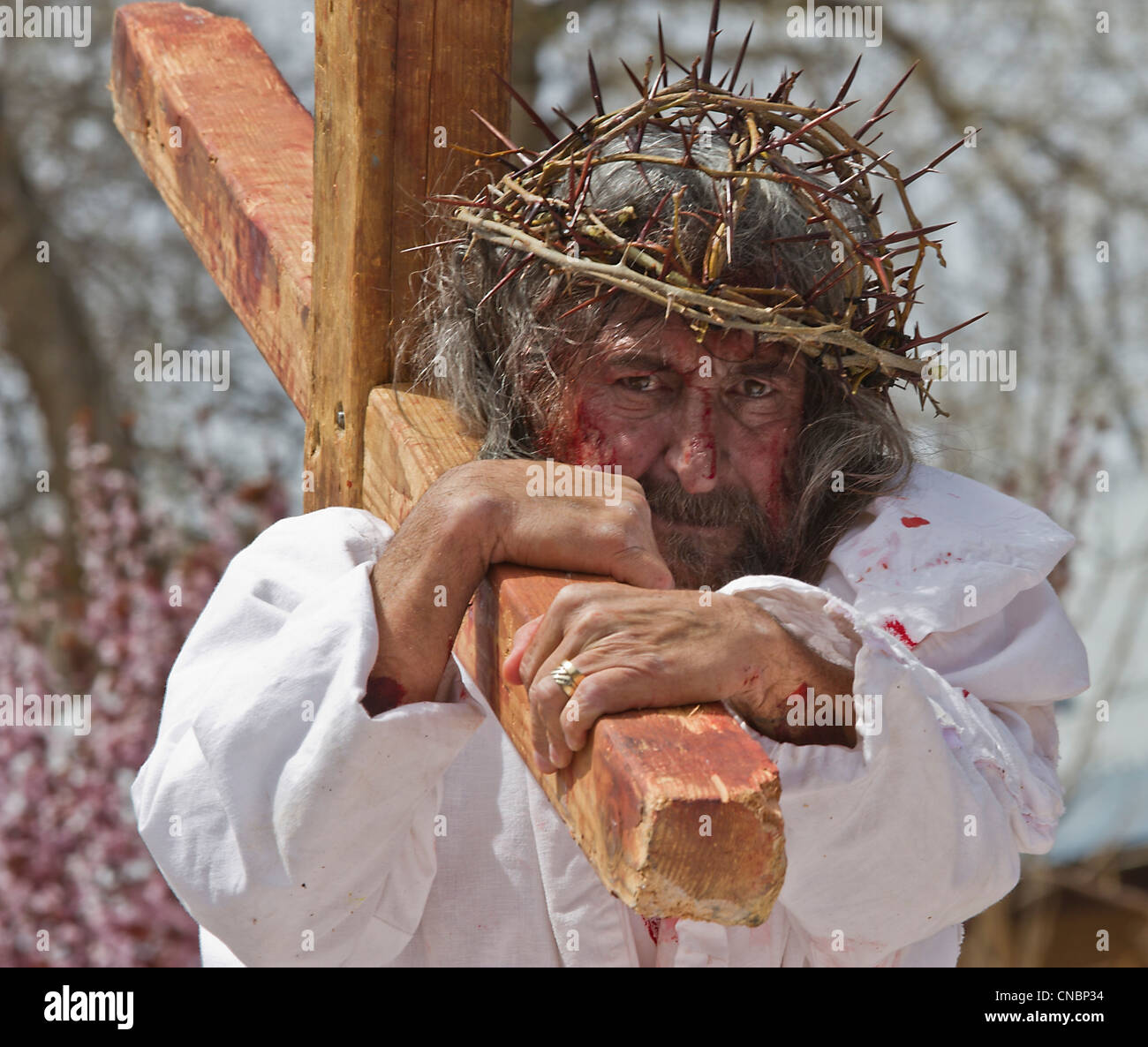 Ri-enactement della Passione di Cristo durante la festa di Pasqua presso il Santuario di Chimayo, Nuovo Messico. Foto Stock