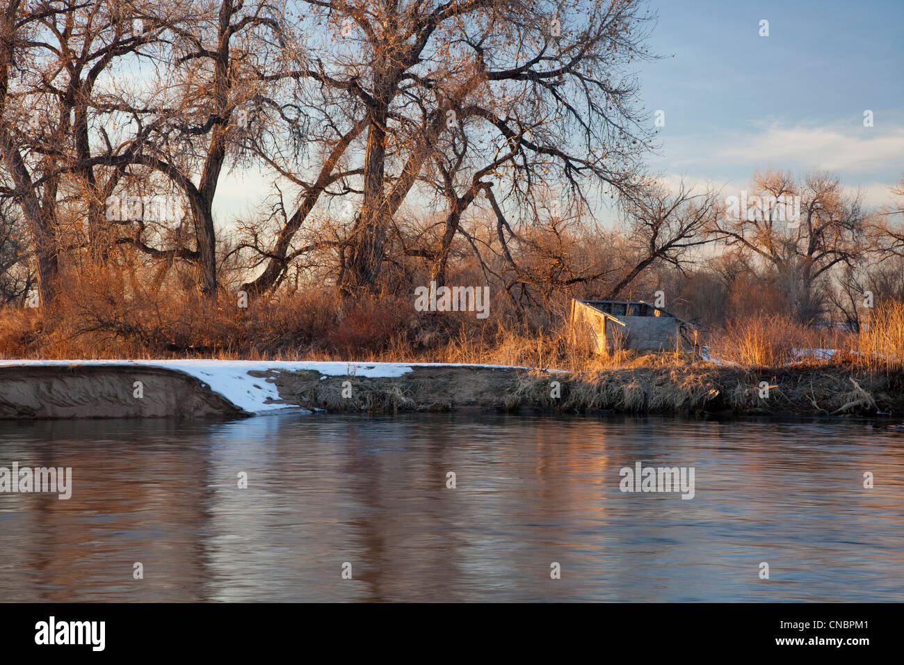 Vecchia tenda per gli uccelli acquatici caccia su Riva del South Platte River, Colorado vicino Greeley, paesaggio invernale Foto Stock