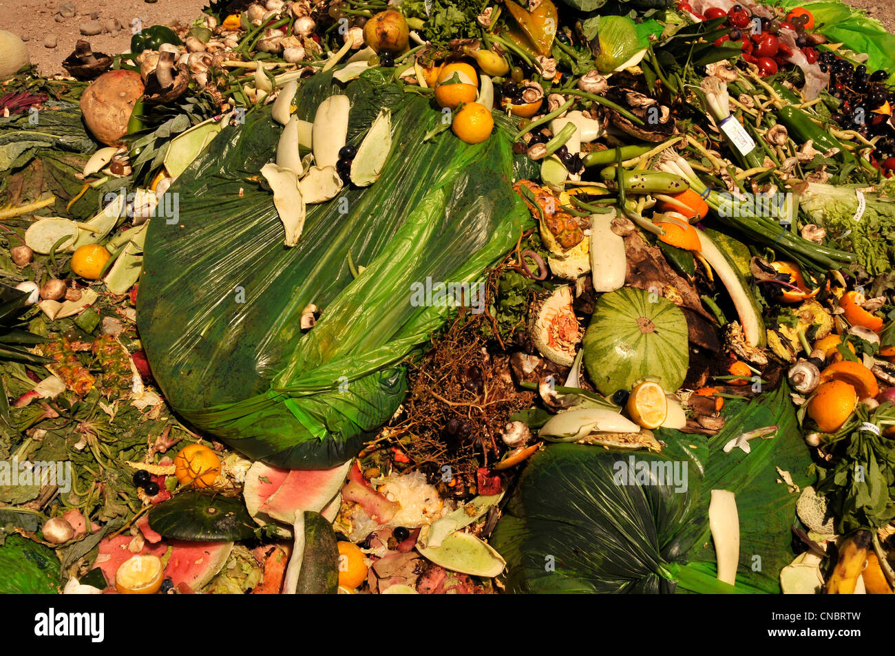Cibo e compostabile materiali dai ristoranti e i fornitori di prodotti alimentari sono a sinistra per compost. Foto Stock