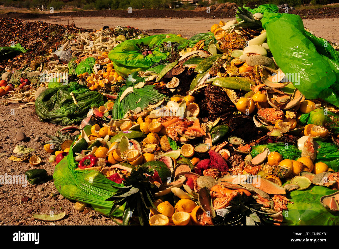 Cibo e compostabile materiali dai ristoranti e i fornitori di prodotti alimentari sono a sinistra per compost. Foto Stock