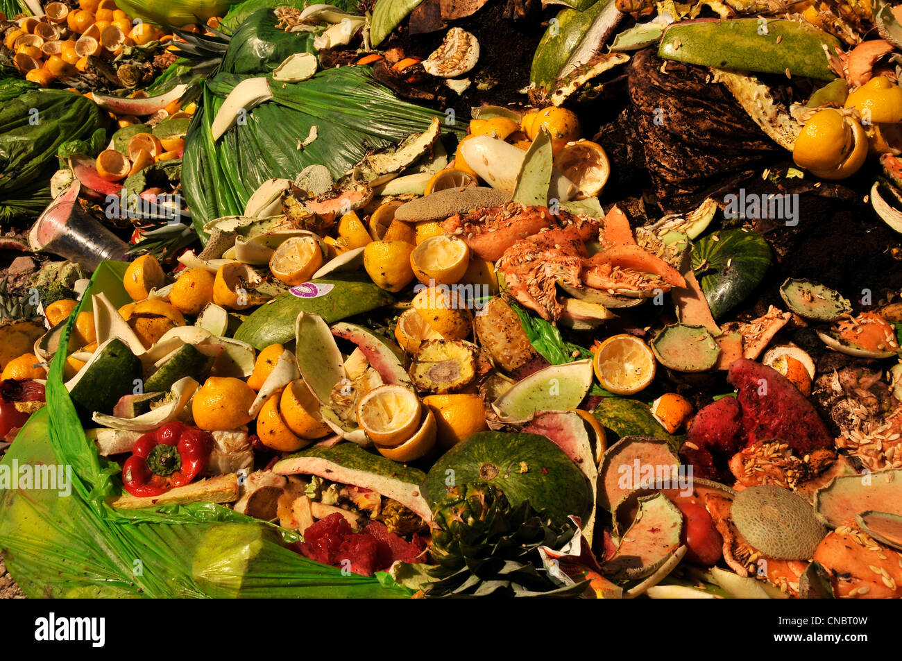 Cibo e compostabile materiali dai ristoranti e i fornitori di prodotti alimentari sono a sinistra per compost. Foto Stock