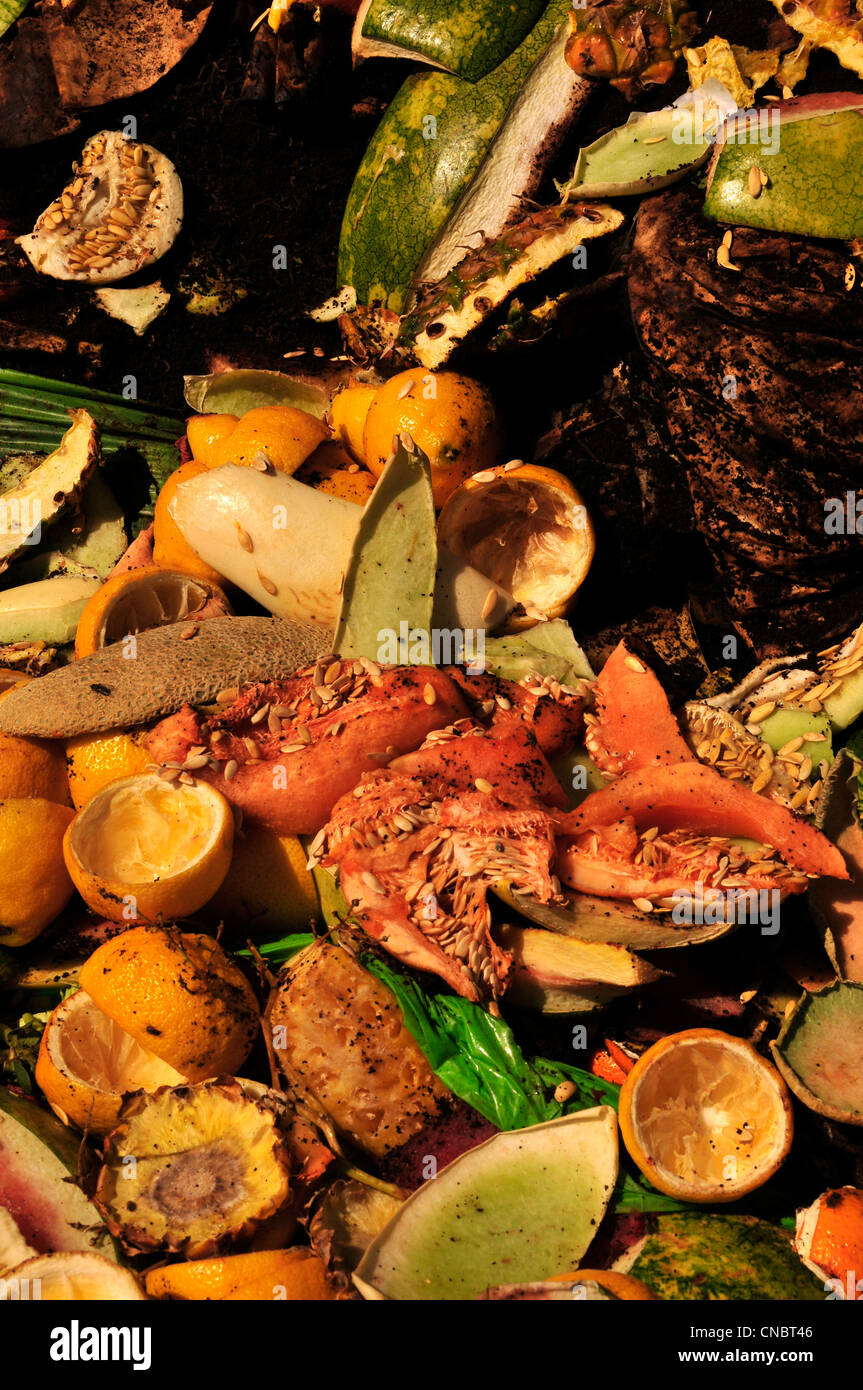 Cibo e compostabile materiali dai ristoranti e i fornitori di prodotti alimentari sono a sinistra per compost. Foto Stock
