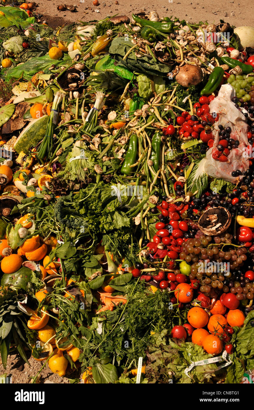 Cibo e compostabile materiali dai ristoranti e i fornitori di prodotti alimentari sono a sinistra per compost. Foto Stock