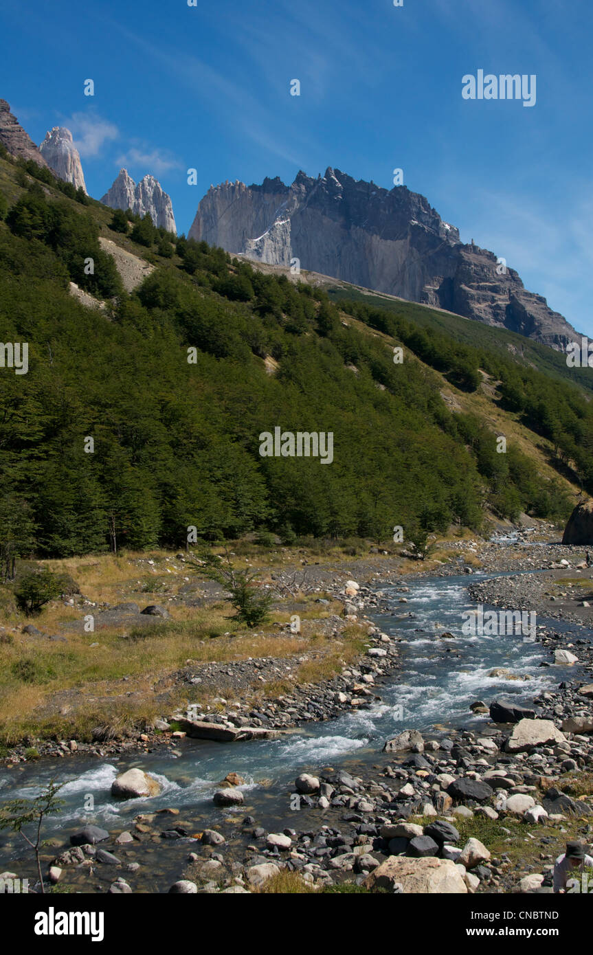 Rio Ascencio Parco Nazionale Torres del Paine Patagonia Cile Foto Stock