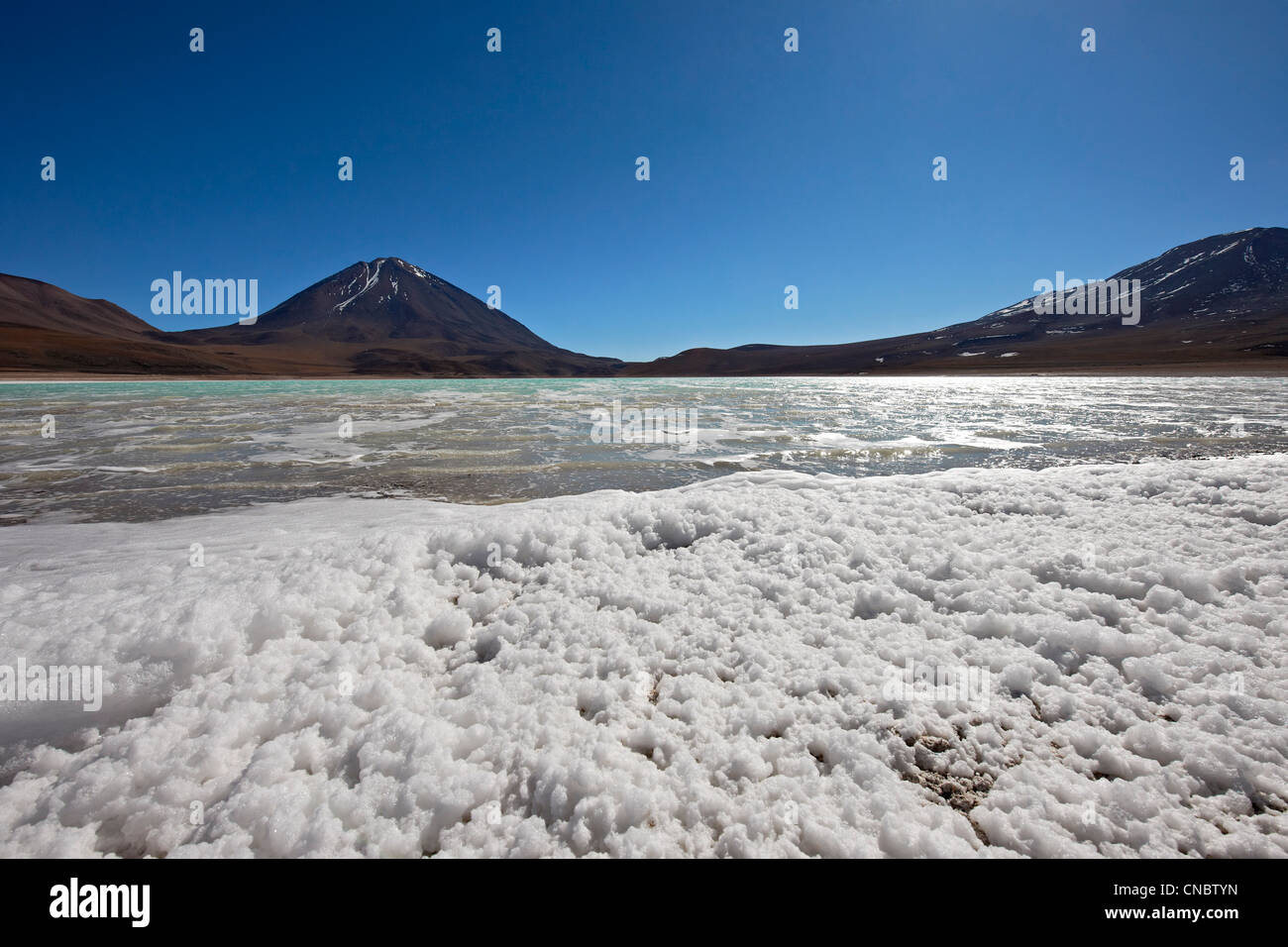 Laguna Verde o Laguna Verde a 4300m con il Vulcano Licancabur 5920m, borace schiuma Reserva Nacional de fauna Andina Eduardo Abaroa Foto Stock