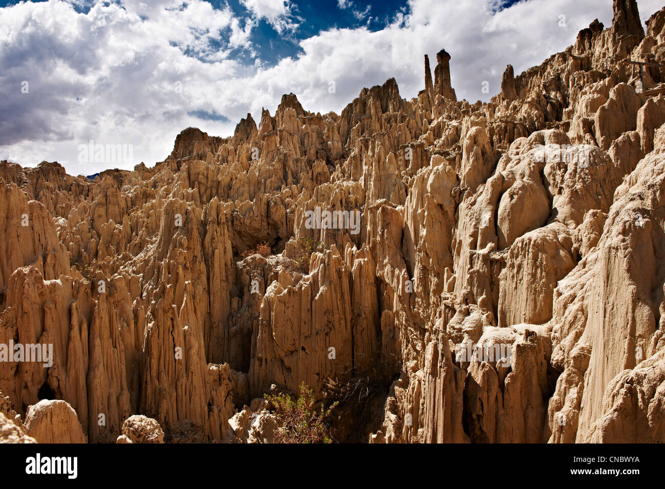 Valle della Luna, erosione paesaggio vicino a La Paz, Bolivia, Sud America Foto Stock