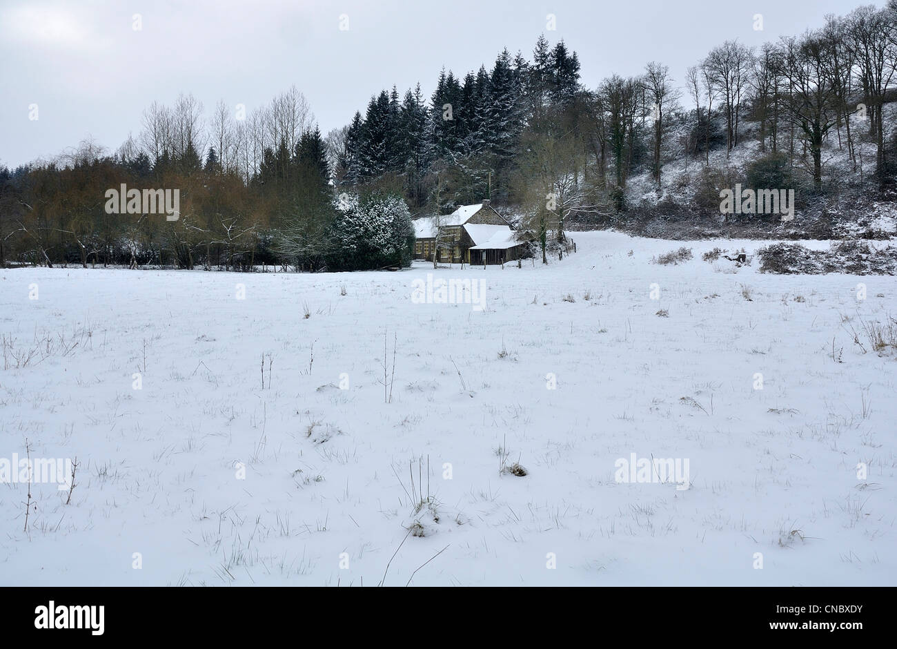 Terreni coltivati sotto la neve, country house, valley piantati con abeti e querce (Nord Mayenne, Pays de la Loire, in Francia, in Europa). Foto Stock