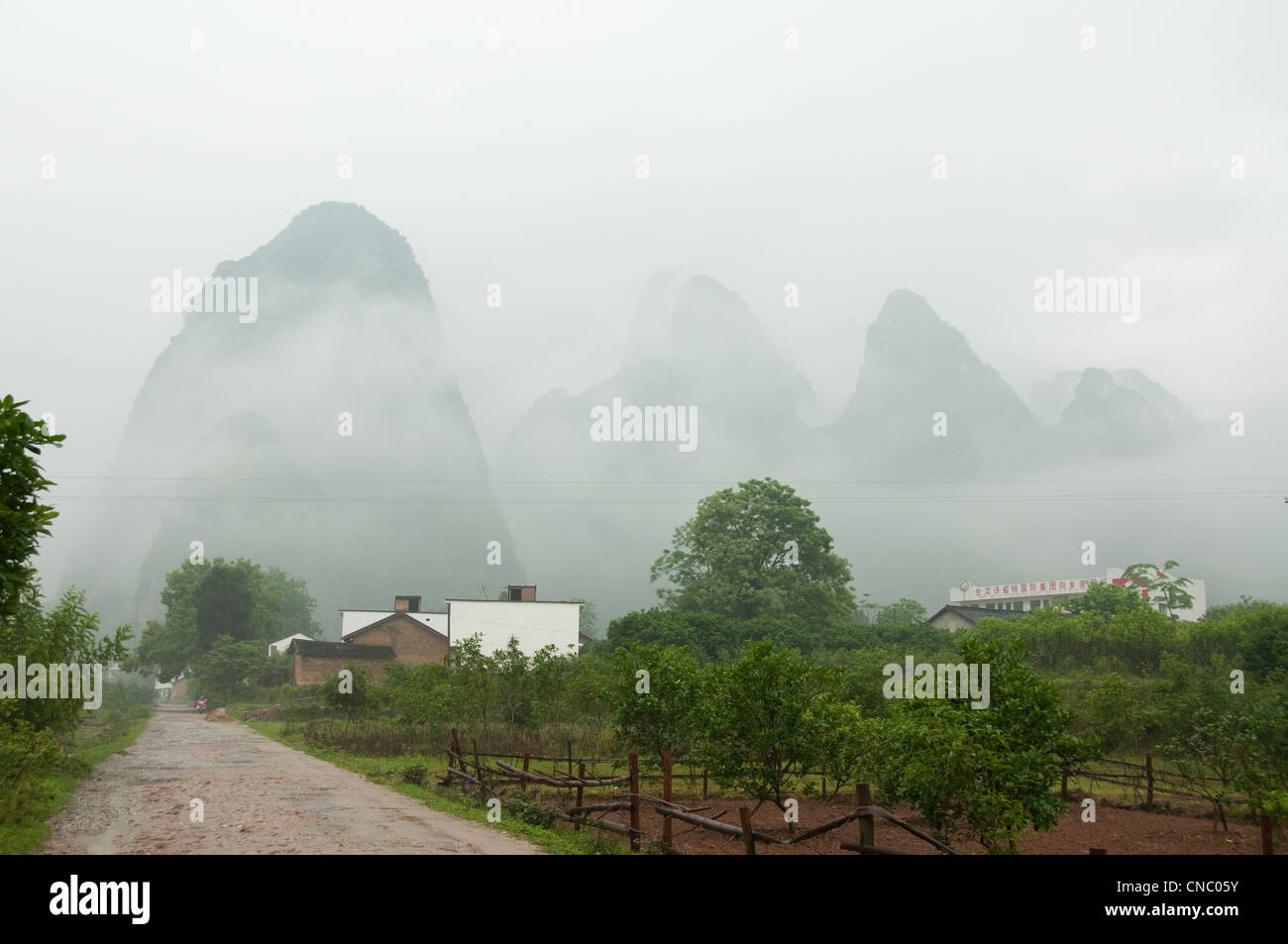 Campagna vicino fiume li su un nebbioso giorno Foto Stock