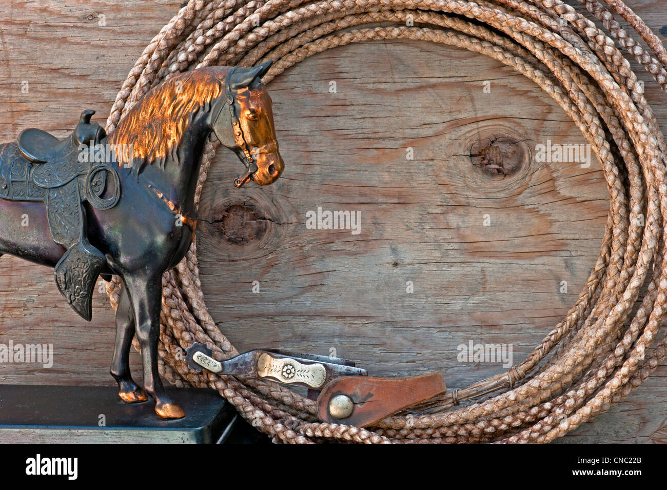 Cavallo Western statua con cerchio di rawhide corda e sperone - camera per il messaggio Foto Stock