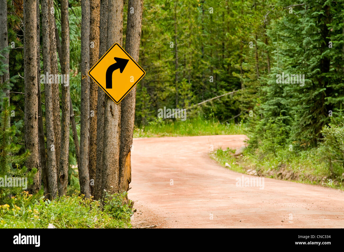 Ign strade con curve e strada nella foresta Foto Stock