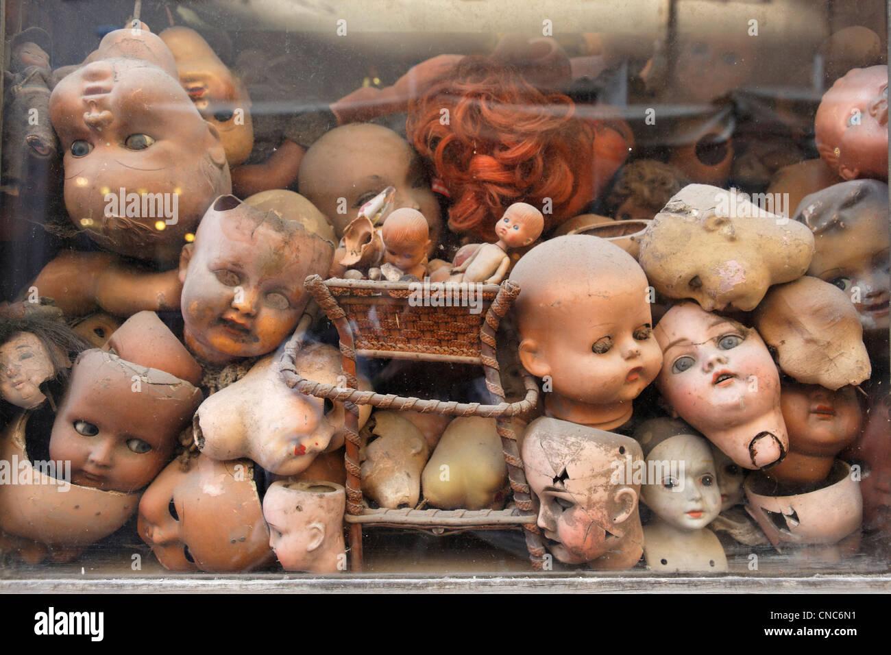 Italia Lazio Roma, teste di bambole dietro alla vetrina di un negozio. Foto Stock