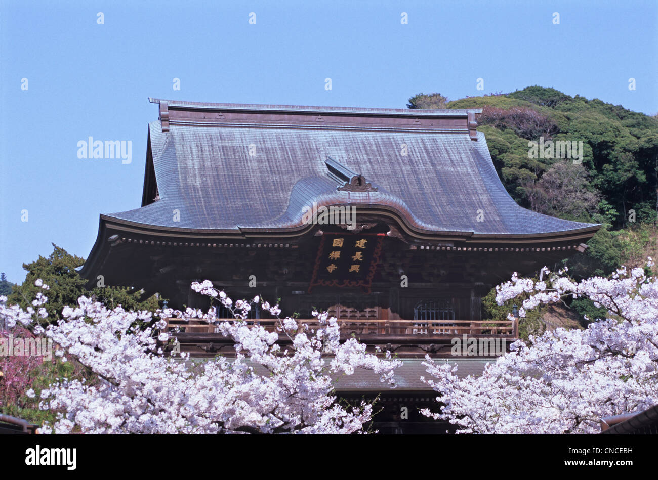 Kencho-ji a Kamakura, Giappone Foto Stock