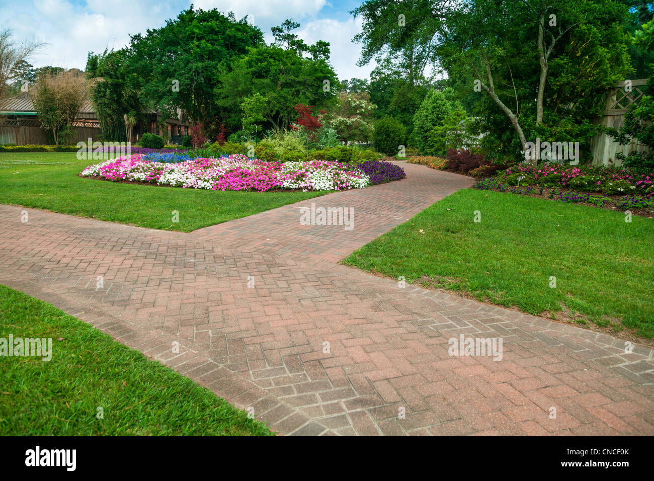 Piantagioni di fiori estivi al Mercer Arboretum e ai Giardini Botanici di Spring, Texas. Foto Stock