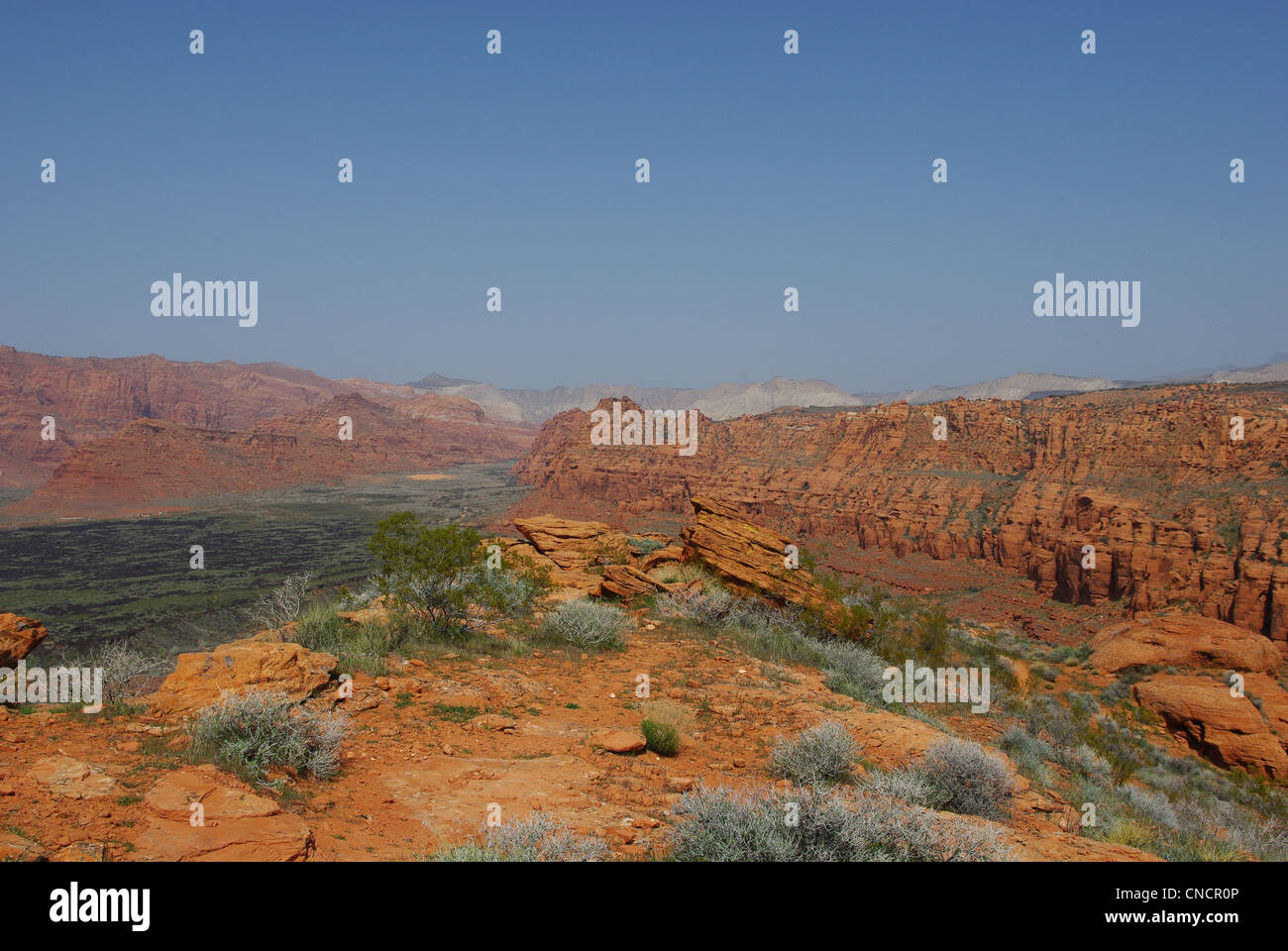 Snow Canyon, Utah Foto Stock