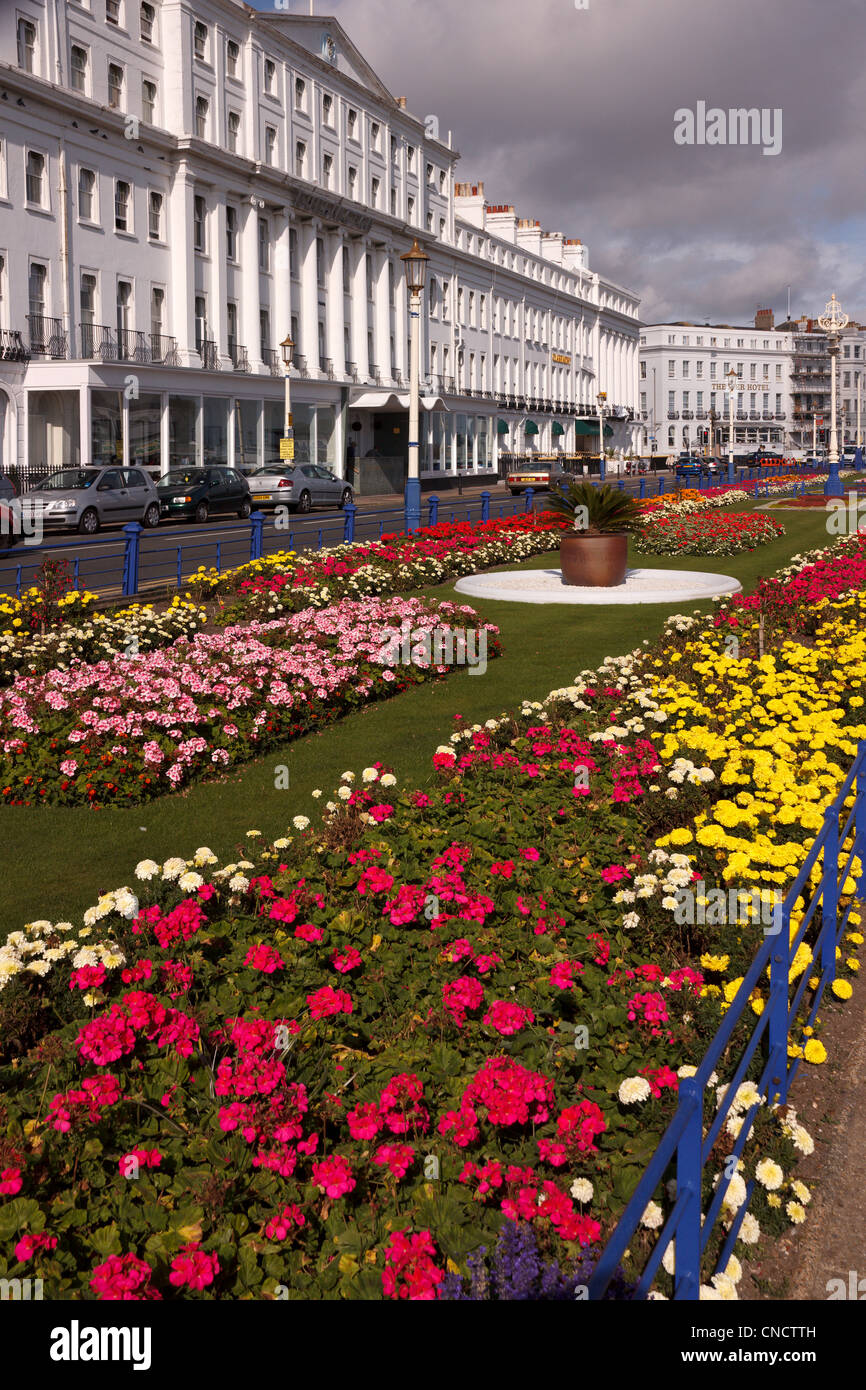 Letti di fiori e pitturato di bianco hotel fronti lungo Eastbourne's Grand Parade Promenade, Eastbourne, East Sussex, England, Regno Unito Foto Stock
