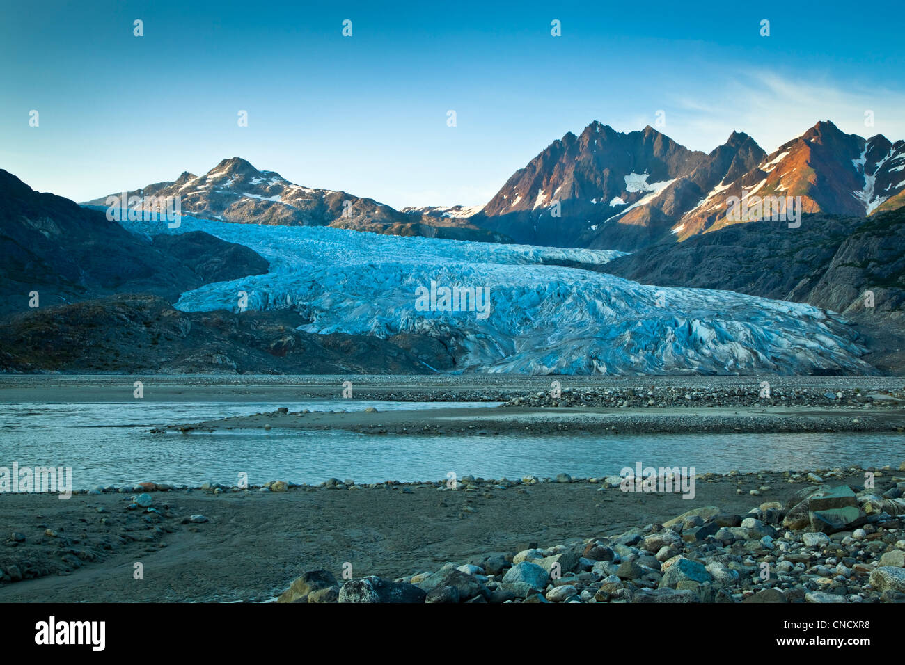 Riggs Glacier nella luce del mattino, il Parco Nazionale di Glacier Bay & preservare, a sud-est di Alaska, estate Foto Stock