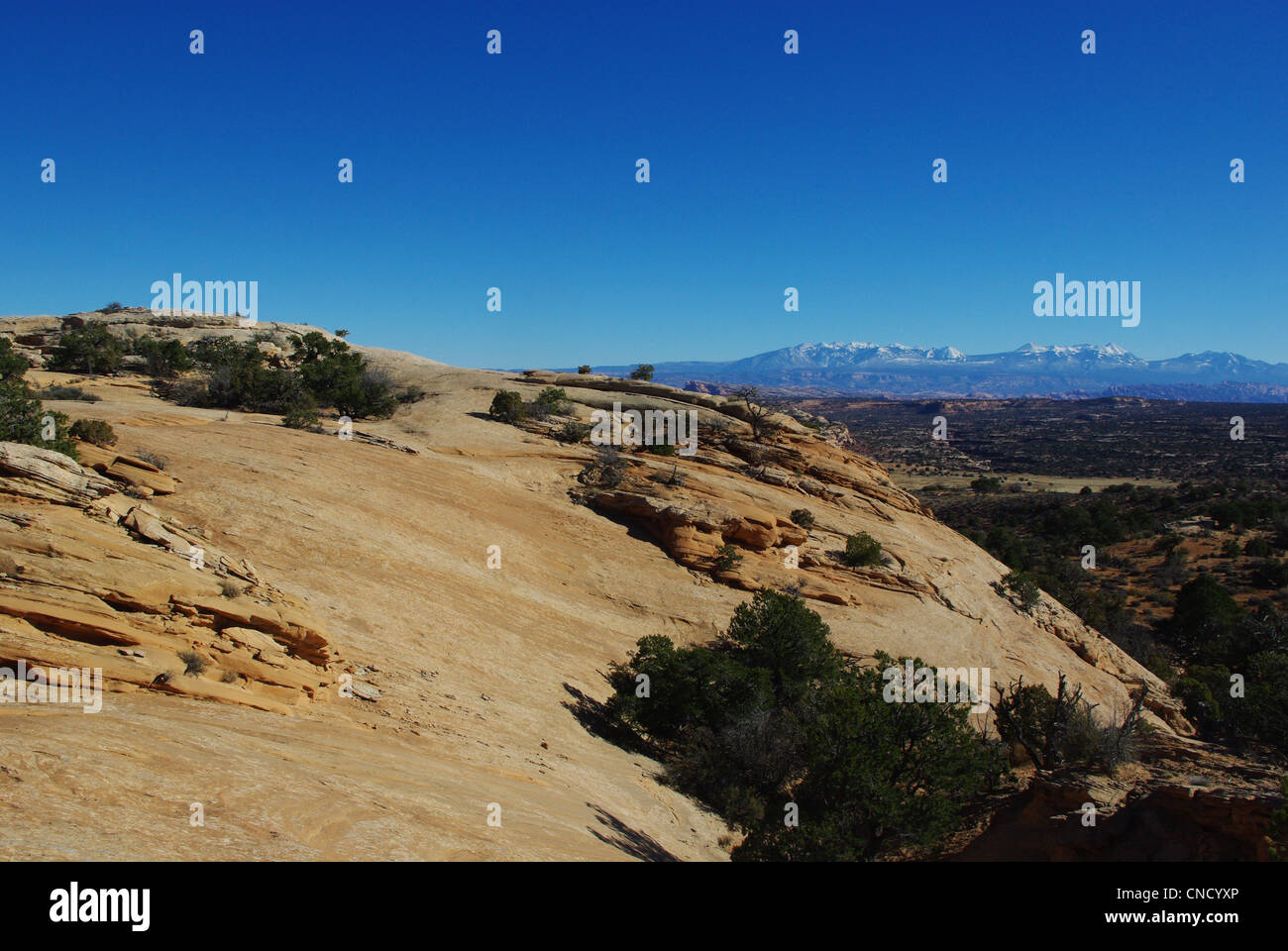 Rock Hill, high desert e Manti La Sal Mountains, Utah Foto Stock