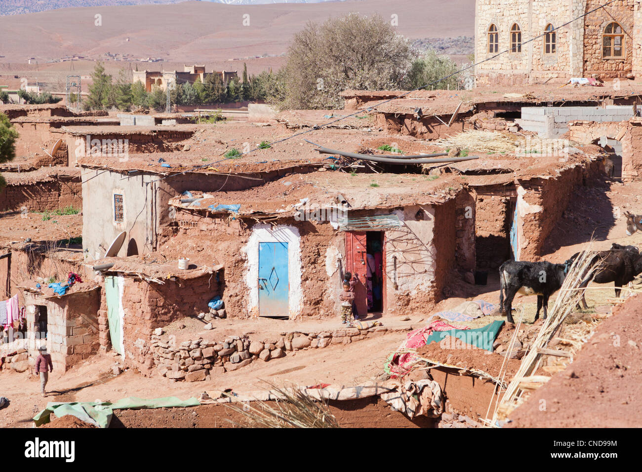 Case di fango vicino al Kasbah Telouet Foto Stock