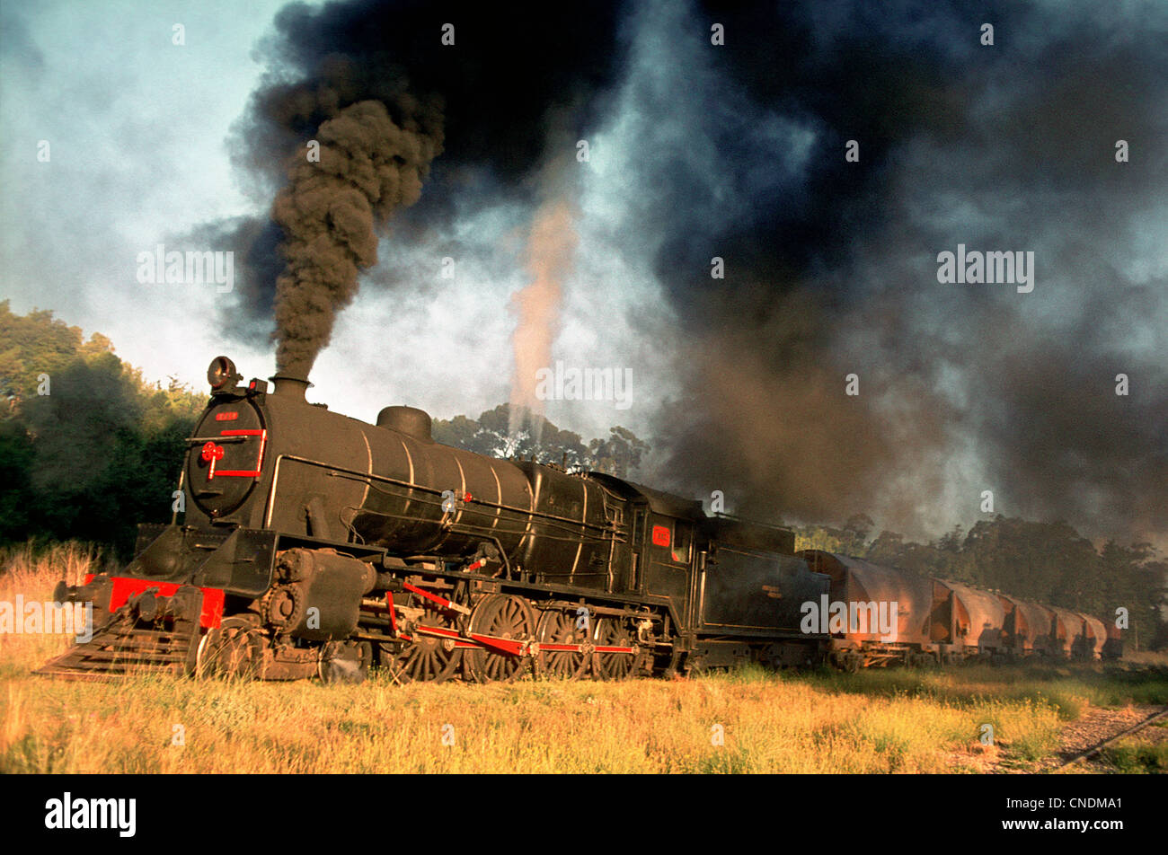 Argentina stazione 15B Classe n° 1583 rispettivamente costruito dalla Fonderia Vulcan nel 1948. 08.03.1979. Foto Stock