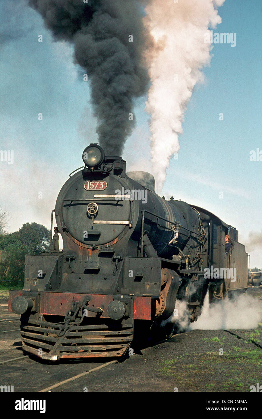 Olavarria depot cantiere il 17 marzo 1979 con 15B Classe 4-8-0 No.1573 costruito per il Buenos Aires & grande sud della linea ferroviaria nel 1948. Foto Stock