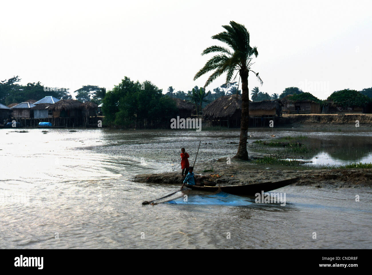 Il traffico nella Padma (Fiume Gange) e fiume Jamuna (Brahmaputra) è ricco e vitale per il Bangladesh la vita quotidiana Foto Stock