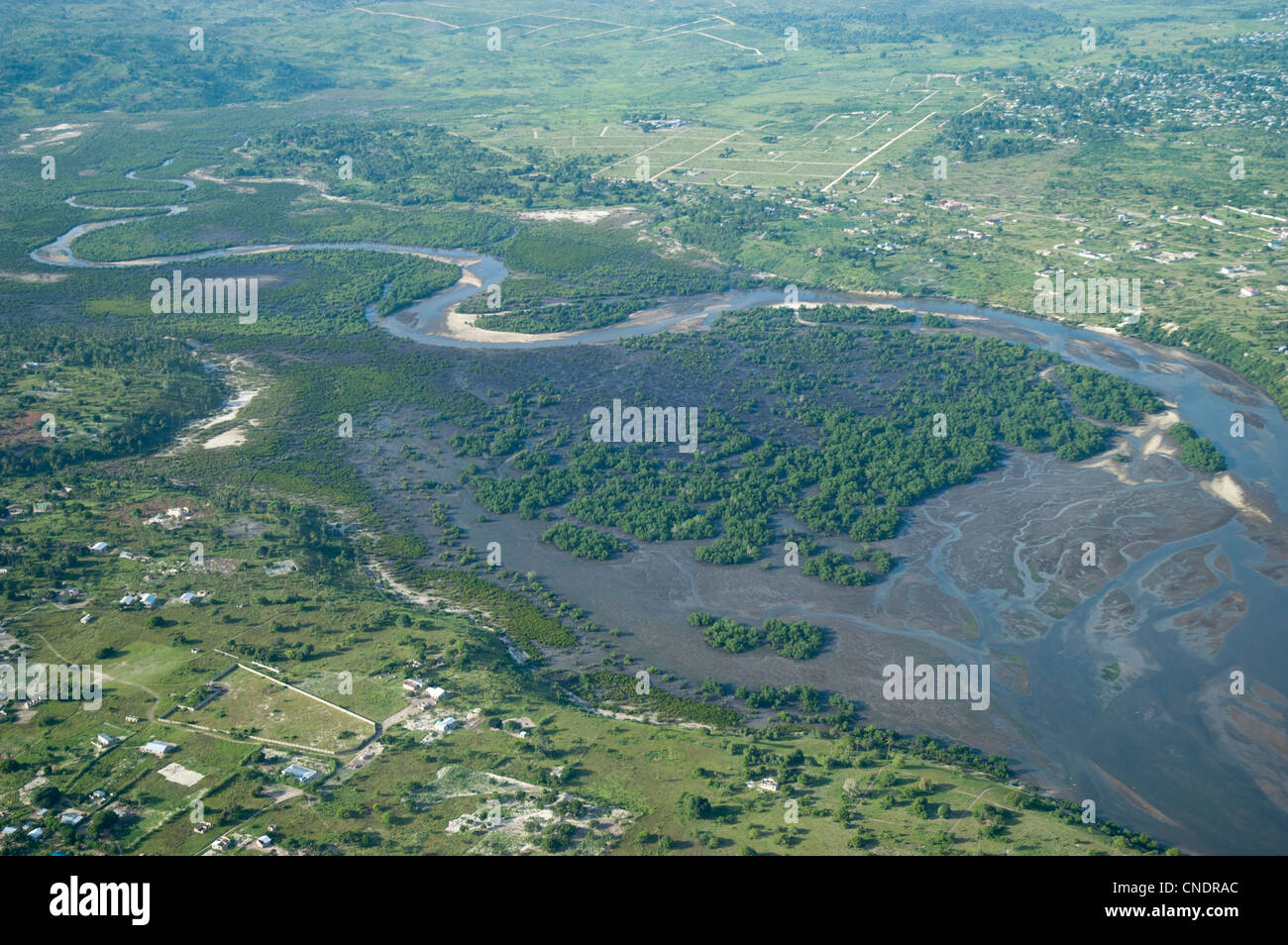 La foresta di mangrovie in un fiume bocca, vista aerea, Regione di Pwani, Tanzania Foto Stock