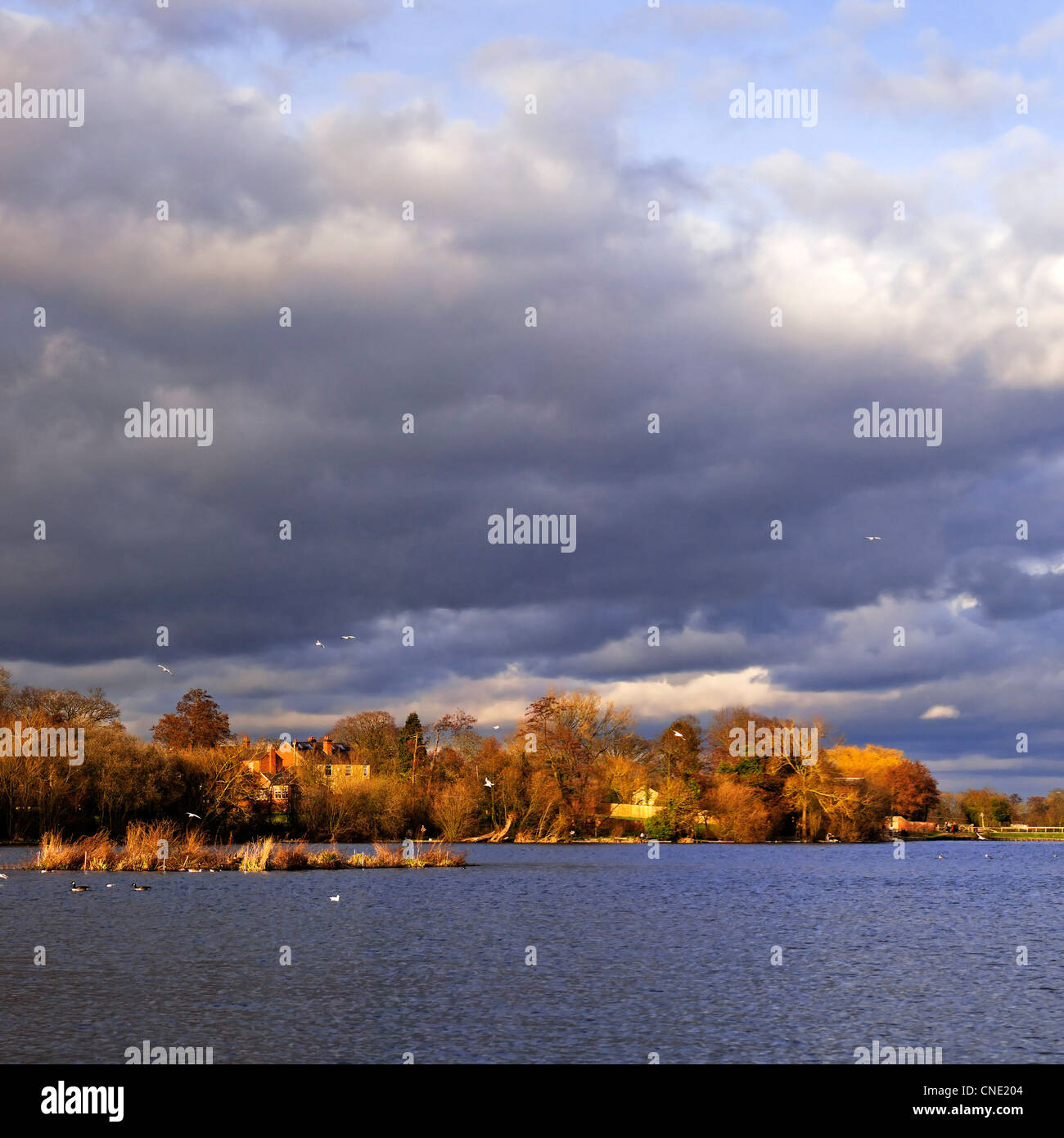 Immagini di Inghilterra Foto Stock